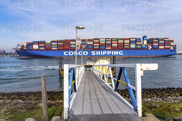 Harbour tug brings the container freighter Cosco Shipping Leo to its berth at Hutchison Ports ECT