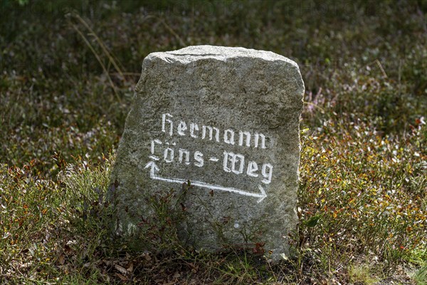 Hiking sign, rock as signpost, in the Lüneburg Heath nature reserve, Lower Saxony, Germany, Europe