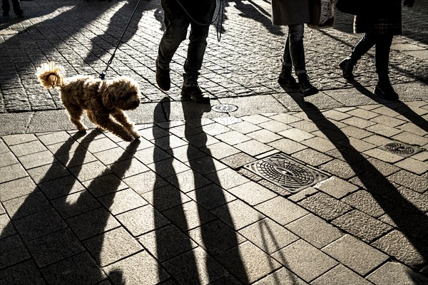 Pedestrians in a pedestrian zone, winter, long shadows, Dortmund, North Rhine-Westphalia, Germany,