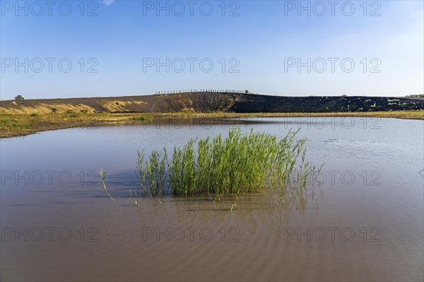 The Haniel spoil tip, 185 metre high spoil tip at the Prosper Haniel mine, which was closed in
