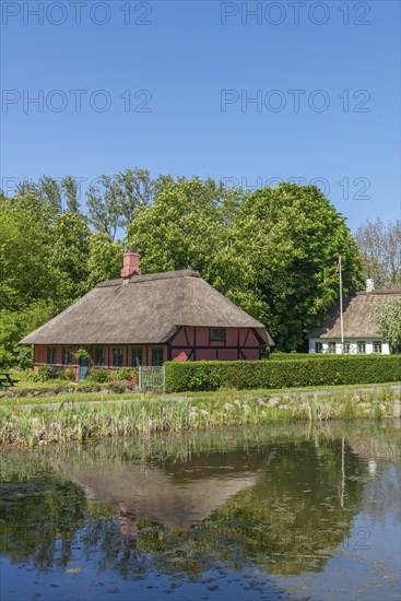 Island of Skarø, Skaroe, thatched half-timbered houses by the village pond, water reflection,