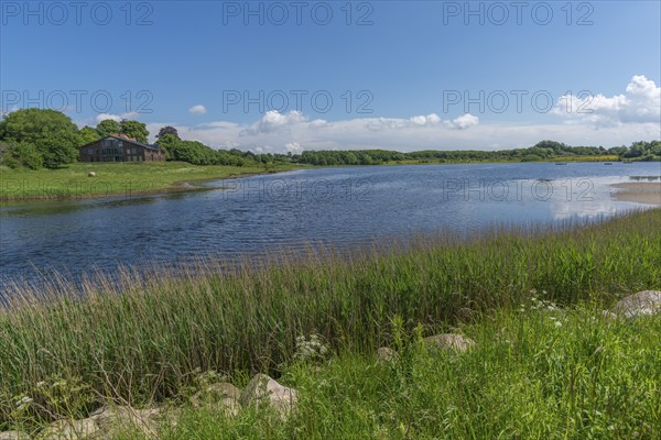 Small Noor in the nature reserve Holnis peninsula, NSG, inland lake with connection to the fjord,