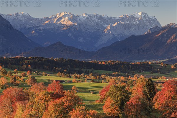Pre-Alpine landscape with autumnal coloured trees in front of mountains, Riegsee, behind Zugspitze