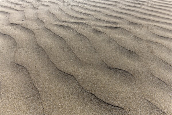 Fine sand moulded by the wind on a beach. Crozon, Finistere, Brittany, France, Europe