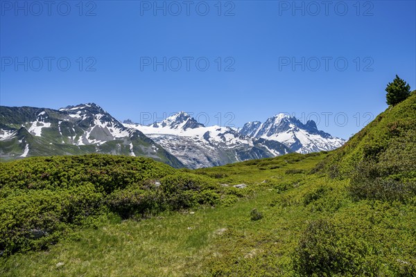 Mountain panorama with glaciated mountain peaks, Aiguille Verte and Glacier du Tour, hike to