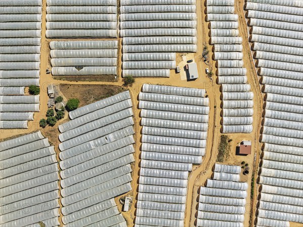 Plastic greenhouses with strawberry cultivations near the town of Lepe. Aerial view. Drone shot.