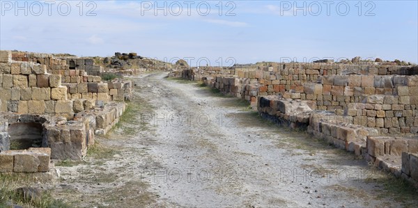 Bazaar street, Ani Archaeological site, Kars, Turkey, Asia