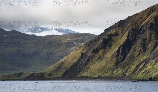 Coastal landscape, Reykjarfjörður, Strandir, Árnes, Westfjords, Iceland, Europe