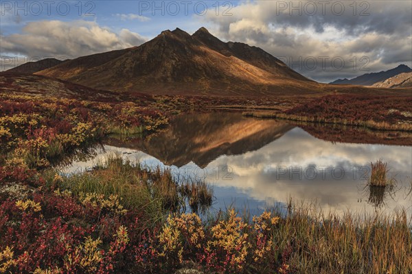 Morning light, clouds, fog, autumnal tundra, autumn colours, wilderness, mountains reflected in
