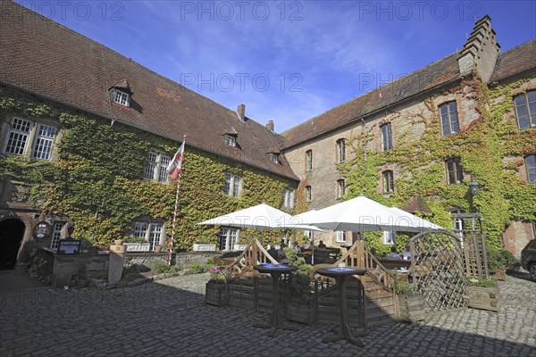 Inner courtyard and vineyard of Saaleck Castle near Hammelburg, Lower Franconia, Bavaria, Germany,