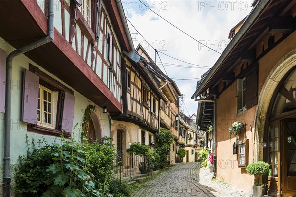 Medieval village and colourful half-timbered houses, Eguisheim, Plus beaux villages de France,