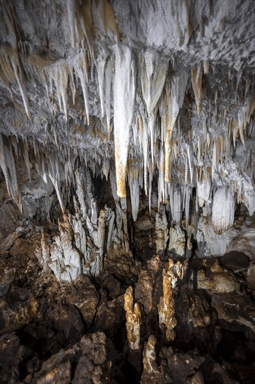 Stalactite cave, Terciopelo Cave, Barra Honda National Park, Costa Rica, Central America