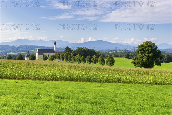 Pilgrimage church of St Marinus and Anian in Wilparting, cornfield, avenue, meadow, municipality of