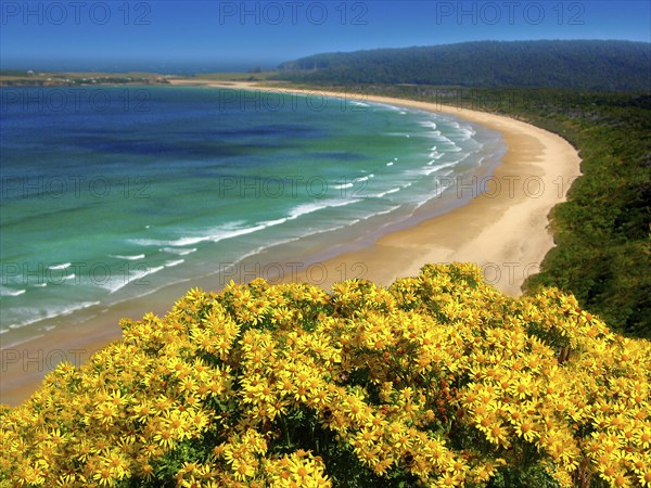 New Zealand, Otago, Tautuku Bay, rocky peninsula, beach, bay, Tautuku Bay, New Zealand, Oceania