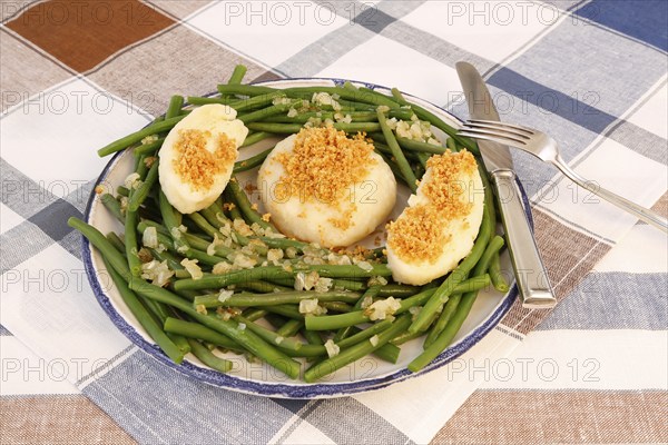 Swabian cuisine, yeast dumplings with green beans, breadcrumbs, served on a plate, typical Swabian,