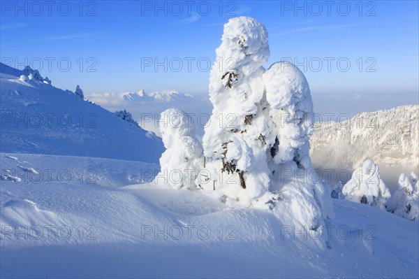 Bernese Alps, View from the Niederhorn, Bernese Oberland, Switzerland, Europe