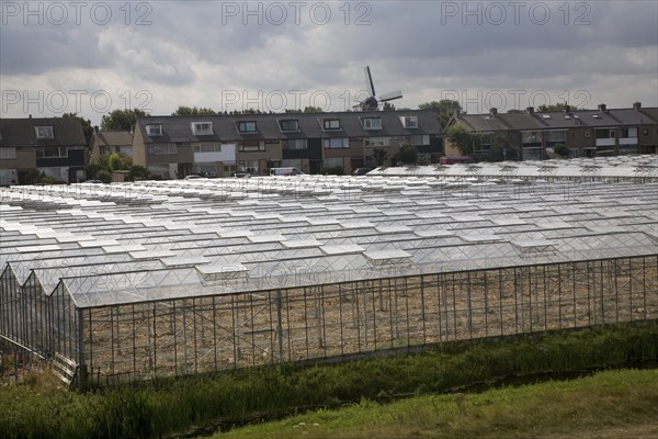 Greenhouses Monster Holland