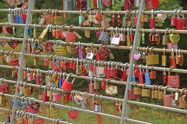 Bars with love locks, many, series, row, number, quantity, metal, symbol, heart, heart-shaped,