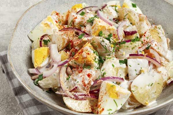 Potato and egg salad, red onion, with mayonnaise, homemade, no people