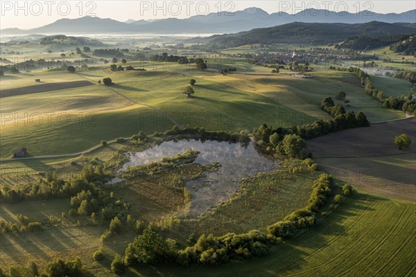 Aerial view of a lake in front of mountains in summer, morning light, view of Benediktenwand,