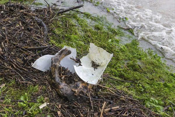 Symbolic image Environmental pollution, plastic waste, rubbish, flotsam from a flood on the Neckar