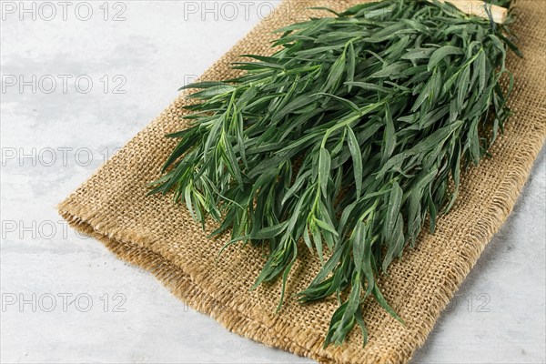 Fresh Tarragon, bunch, top view, close-up, no people