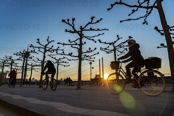 Rhine promenade, Rhine bank at the old town of Düsseldorf, Rhine knee bridge, Rhine tower, cycle