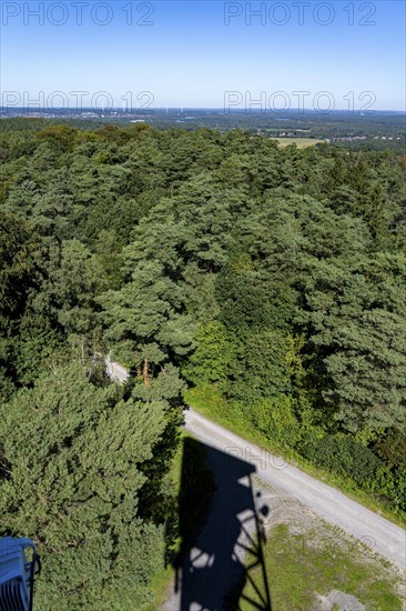 Forest area The Haard, in the northern Ruhr area, bordering the Münsterland, part of the Hohe Mark