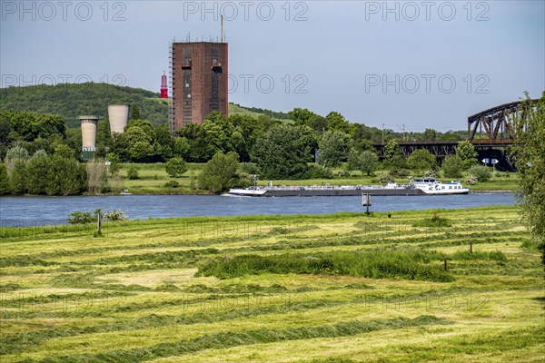 View across the Rhine meadows near Duisburg-Beeckerwerth to the Rheinpreußen spoil tip in Mörs,