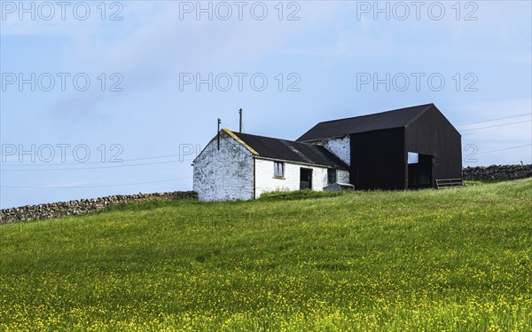 Farms over Upper Teesdale and River Tees, Forest-in-Teesdale village, County Durham and Cumbria,