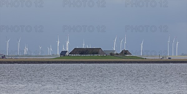 Thatched roof houses, wind turbines, Hamburger Hallig, North Friesland, Schleswig-Holstein,
