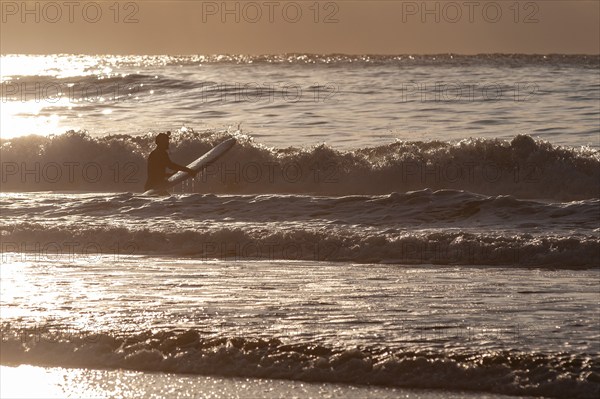 Surfer in the surf at Unnstad beach, winter surfing, Lofoten Island Vestvågøya Lofoten, Northern