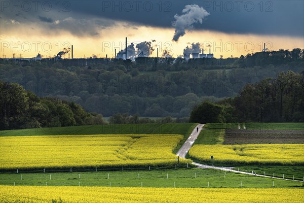 View over Mülheim an der Ruhr, Ickten, rape fields, over the Ruhr heights, to Duisburg-Hüttenheim,
