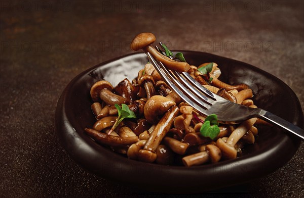 Pickled honey mushrooms, in a bowl, homemade, top view, no people