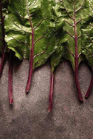 Fresh, green leaves, stem with beet leaves, on the table, top view, rustic, no people