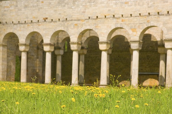Paulinzella Monastery is a former Benedictine abbey, founded as a double monastery in Paulinzella