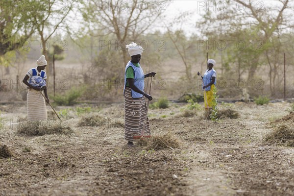 Preparation of fields by farmers during organic farming at the agroecological training centre