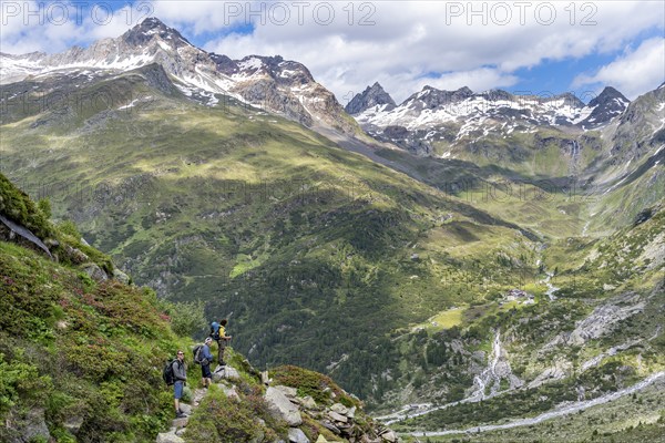 Three mountaineers on hiking trail in front of picturesque mountain landscape with blooming alpine