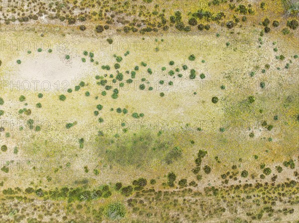Detail of marshland near Sanlúcar de Barrameda. Aerial view. Drone shot. Cádiz province, Andalusia,