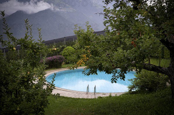 Swimming pool, Swimming pool, Garden, Vineyards, Vines, Scena, Scena, South Tyrol, Autonomous