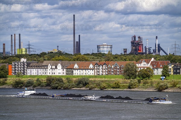 Cargo ship loaded with coal, on the Rhine near Duisburg-Laar, houses on Deichstraße, industrial