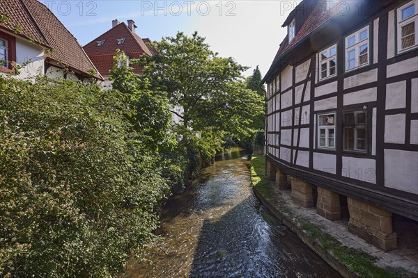 Historic half-timbered houses on the Salze river backlit in the town centre of Bad Salzuflen, Lippe