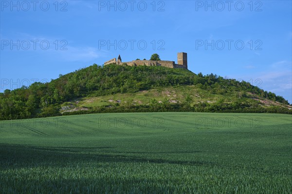 A castle ruin on a wooded hill under a blue sky with clouds, Gleichen Castle or Wanderslebener