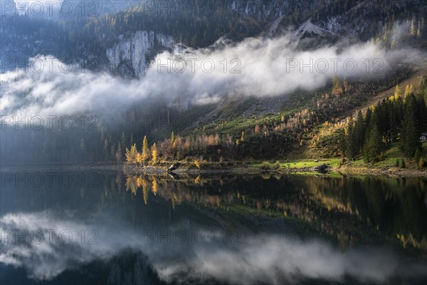 The Vordere Gosausee in autumn with a view of the Gosaukamm. Trees in autumn leaves, yellow larches