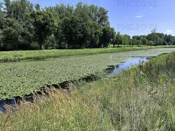 Landscape on Herrenchiemsee with large canal in front of Herrenchiemsee Castle, Herrenchiemsee