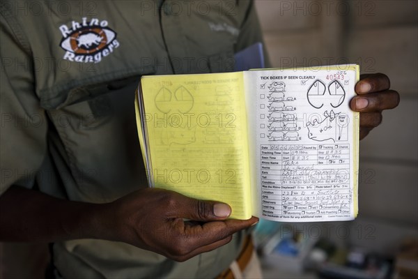 A ranger of the Rhino Rangers shows the data sheet of a rhino sighting, black rhino (Diceros