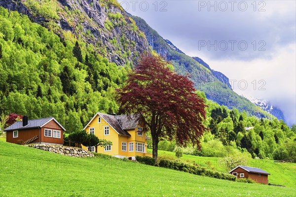 Mountains and Fjord over Norwegian Village, Olden, Innvikfjorden, Norway, Europe