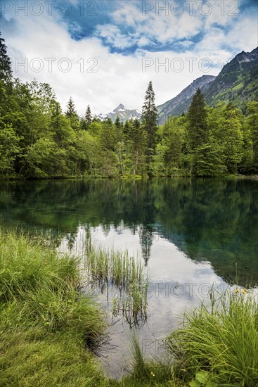 Christlessee, near Gottenried, Trettachtal, Oberstdorf, Oberallgäu, Allgäu, Bavaria, Germany,