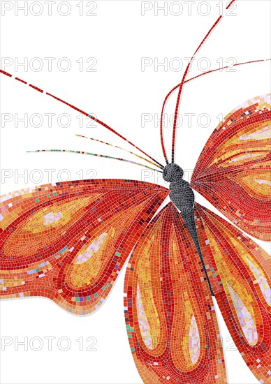 Butterfly mosaic tiles, vector illustration