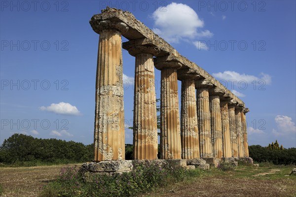 Metaponto, Metaponte, Doric hera temple, Tavole Palatine, Basilicata, Italy, Europe